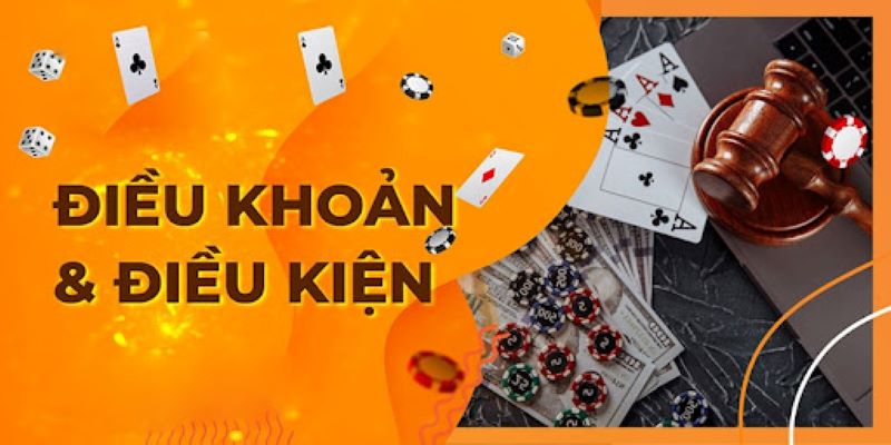 Tuân thủ chính sách và điều kiện